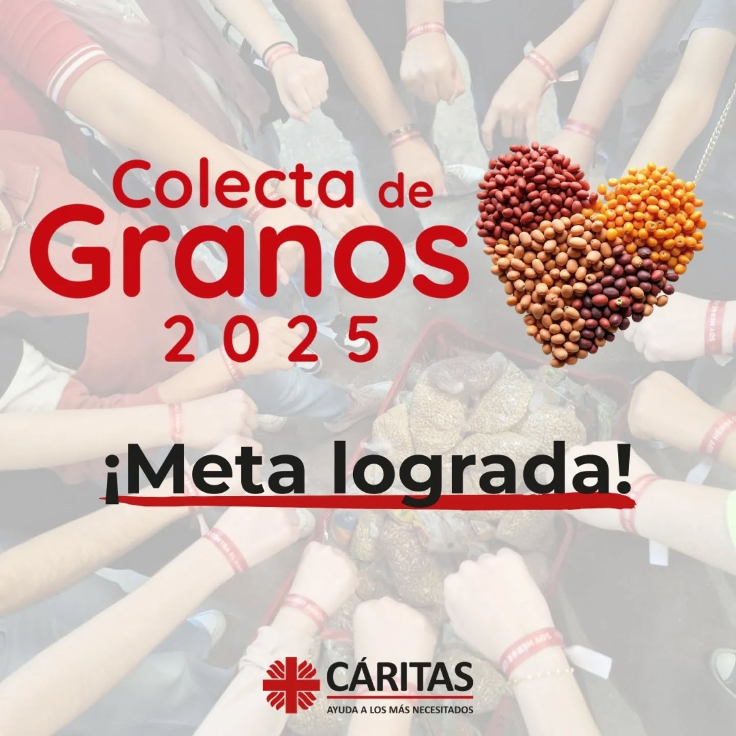 Imagen de actividad